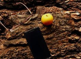 pomme jaune, lunettes et téléphone portable à plat sur l'écorce des arbres photo