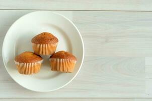 trois muffins sur une assiette blanche. dessert sucré. photo