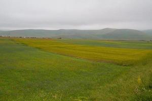 castelluccio di norcia et sa nature fleurie photo