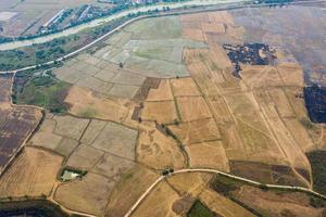 vue aérienne du drone volant du riz des champs avec fond de nature paysage vert, vue de dessus du riz des champs photo