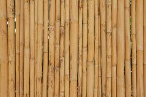 fond de bambou naturel photo