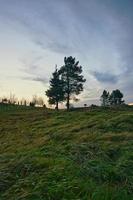 arbres dans la montagne photo