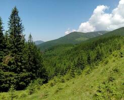 collines et montagnes photo