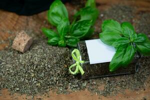 Frais séché basilic ocimum basilicum de notre posséder jardin photo