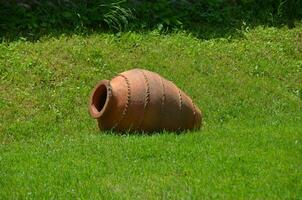 du vin pot pose sur vert herbe photo