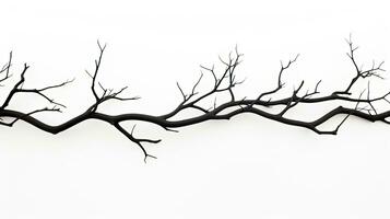 blanc Contexte isolé arbre branches. silhouette concept photo