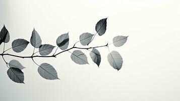feuille arbre ombres apparaissant flou contre une brillant gris toile de fond. silhouette concept photo