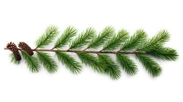 Noël arbre branche avec pin cônes. silhouette concept photo