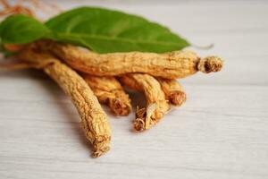 racines de ginseng et feuille verte, nourriture saine. photo