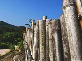 clôture en bambou dans le village traditionnel de la corée du sud photo