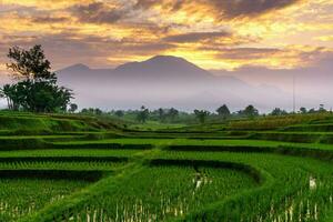 belle vue du matin indonésie panorama paysage rizières avec beauté couleur et lumière naturelle du ciel photo