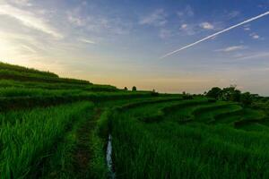 belle vue du matin indonésie panorama paysage rizières avec beauté couleur et lumière naturelle du ciel photo