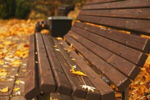 banc avec déchue l'automne feuilles dans le parc photo