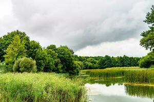 beau roseau des marais d'herbe poussant sur le réservoir du rivage dans la campagne photo