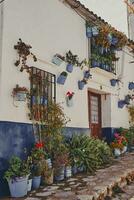 traditionnel rue dans le vieux ville de Grazalema, Espagne, avec fleurs. géranium. photo