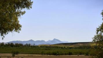 paysage avec une Montagne intervalle dans le arrière-plan, tournesol plantation proche. photo