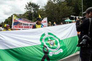 Bogota, Colombie, 16 août 2023. Mars demander pour gustave petro mise en accusation. paisible manifestation Mars dans Bogota Colombie contre le gouvernement de gustave petro appelé la marcha de la mairie. photo