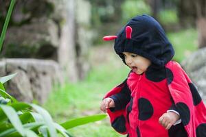 peu bébé fille portant une coccinelle costume. Halloween concept. photo