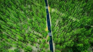 haute angle coup aérien vue de pin forêt et route photo
