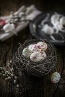 Pâques des œufs dans une en bois nid, main peint photo
