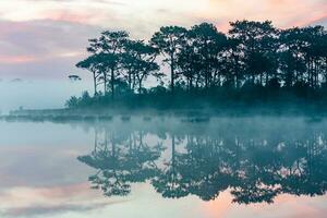 Matin brouillard plus de le Lac avec silhouettes de pin des arbres dans le premier plan photo