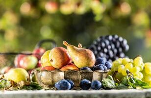 mûr des fruits sur le table dans le jardin. Frais poires dans une bronze bol entouré par une variété de jardin des fruits photo