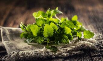 naturellement vert mélisse herbes sur rustique jute ou lin serviette de table plié sur foncé bois photo