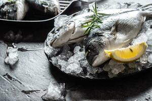 brut méditerranéen poisson brème dans la glace avec Romarin et citron photo