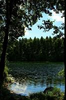 été idyllique paysage avec une Lac en dessous de une bleu ciel sur une chaud ensoleillé journée photo