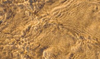 le sable texture modèle avec transparent clair mer l'eau vagues réflexion, résumé Soleil lumières sur l'eau surface plus de marron le sable ondulations avec caillou.mer bas Contexte bannière pour été plage vocation photo