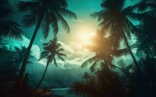 tropical plage avec paume des arbres de le Haut dans faible lumière photo