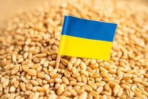 grains de blé avec drapeau de l'ukraine, exportation commerciale et concept d'économie. photo