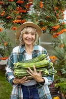 agriculteur en portant une gros surgir de Zucchini photo