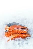 fermer Frais brut Saumon filets sur la glace photo