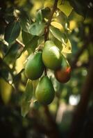 une branche de Avocat sur arbre. ai génératif art photo