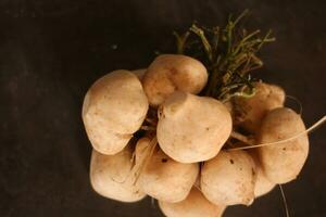 photo de bengkuan fruit ou pachyrhizus érosus avec une foncé Contexte