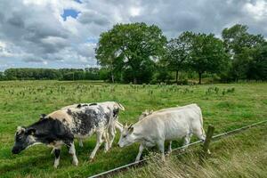 heure d'été en westphalie allemande photo