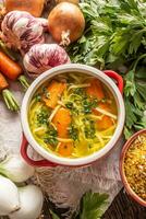 poulet soupe bouillon dans une ancien bol avec fait maison nouilles carotte oignon céleri herbes Ail et Frais des légumes. photo
