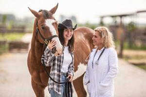 vétérinaire et cheval propriétaire sont ayant une bavarder et rire ensemble après le routine vérifier photo