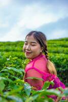 un asiatique femme dans une traditionnel rose costume est permanent très élégamment dans une thé plantation photo