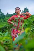un asiatique femme dans une rouge robe est permanent dans de face de une thé jardin photo