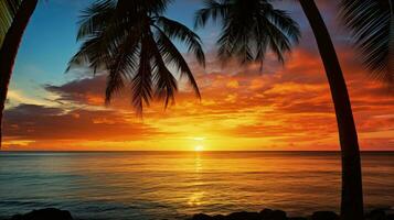 silhouettes de paume des arbres sur une tropical plage à le coucher du soleil photo