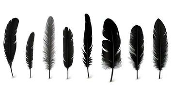 magnifique ensemble de noir plumes seul sur une blanc toile de fond. silhouette concept photo