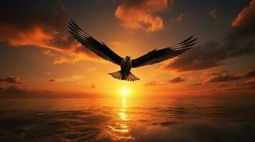 magnifique mer le coucher du soleil avec oiseau silhouette en volant photo