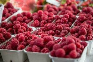 framboises sur une ferme marché dans le ville. des fruits et des légumes à une Les agriculteurs marché photo