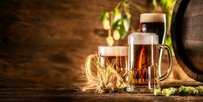 Trois des lunettes avec Brouillon Bière dans de face de une en bois baril. décoration de orge oreilles et Frais le houblon photo