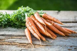 bouquet de Frais carottes librement mensonge sur vieux jardin planche photo