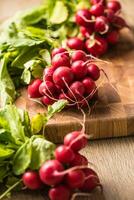 Frais liasses de un radis posé sur une cuisine table photo