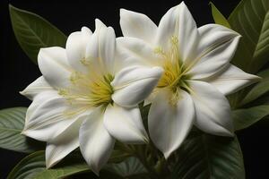 magnifique blanc fleurs sur une foncé Contexte. fermer. ai génératif photo