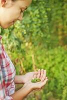 une femme en portant une poignée de le houblon dans sa mains photo